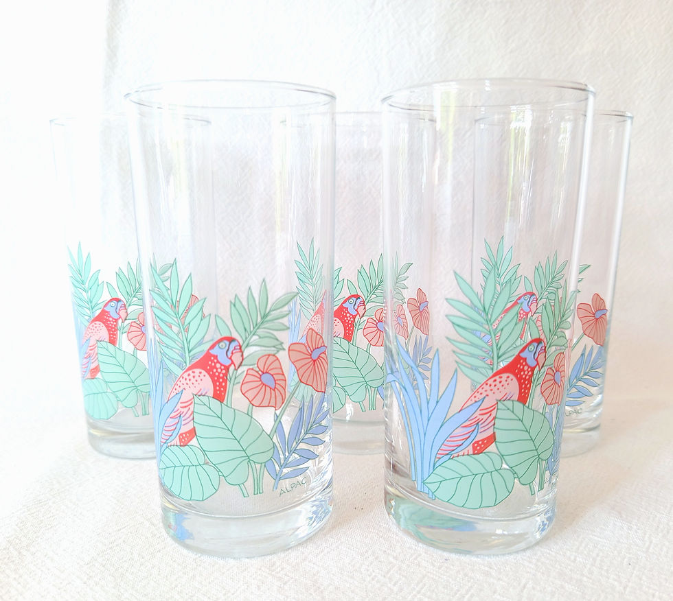 Miniature : Lot de 5 verres à orangeade motif tropical, perroquet  -  ALPAC Années 80