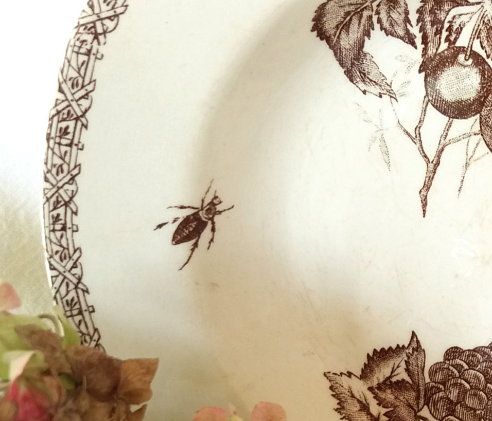 Miniature : Assiette creuse terre de fer "Fruits et insectes" Choisy Le Roi -  Fin XIXe