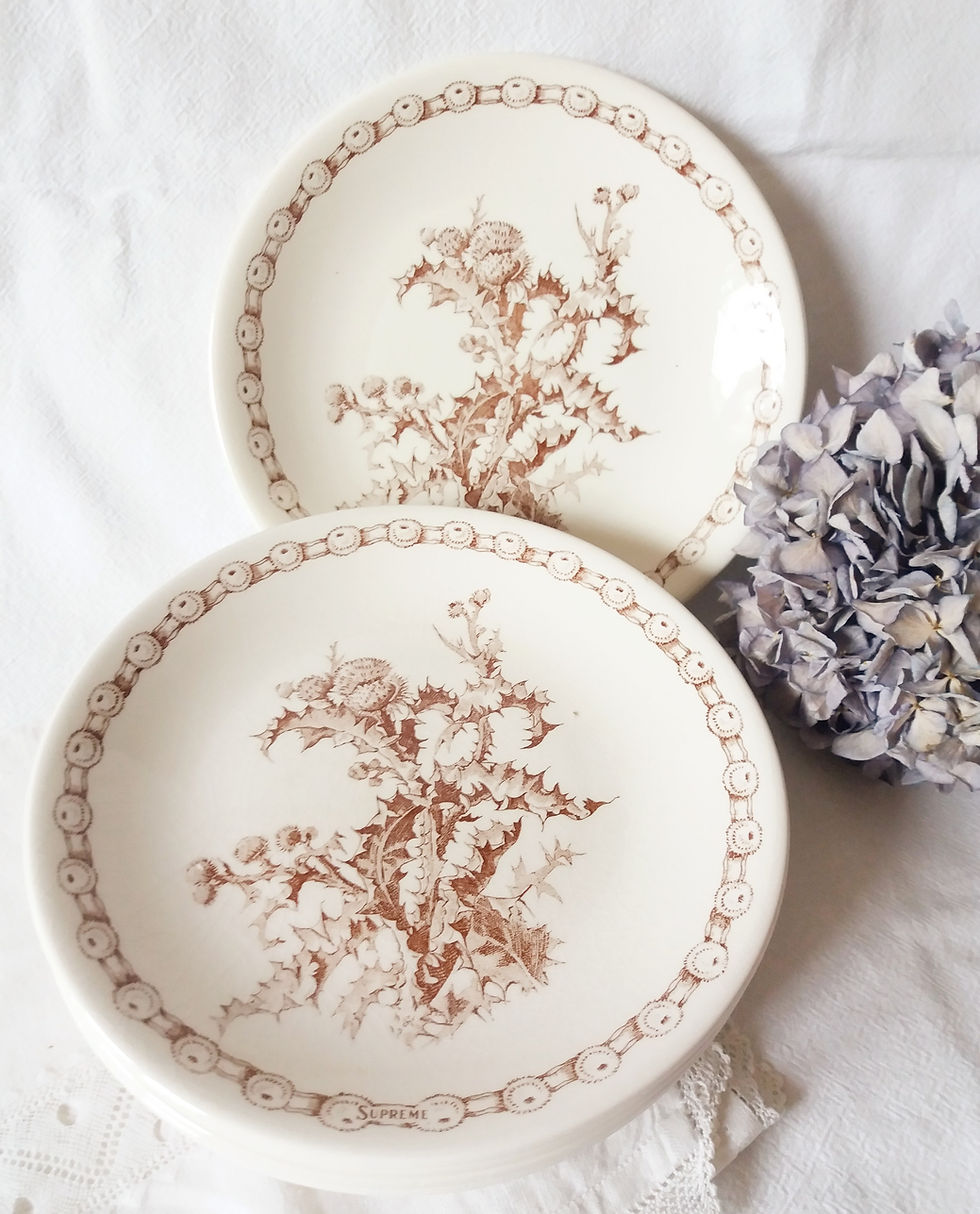 5 assiettes plates Gien décor chardons "Suprême" marron 70/80