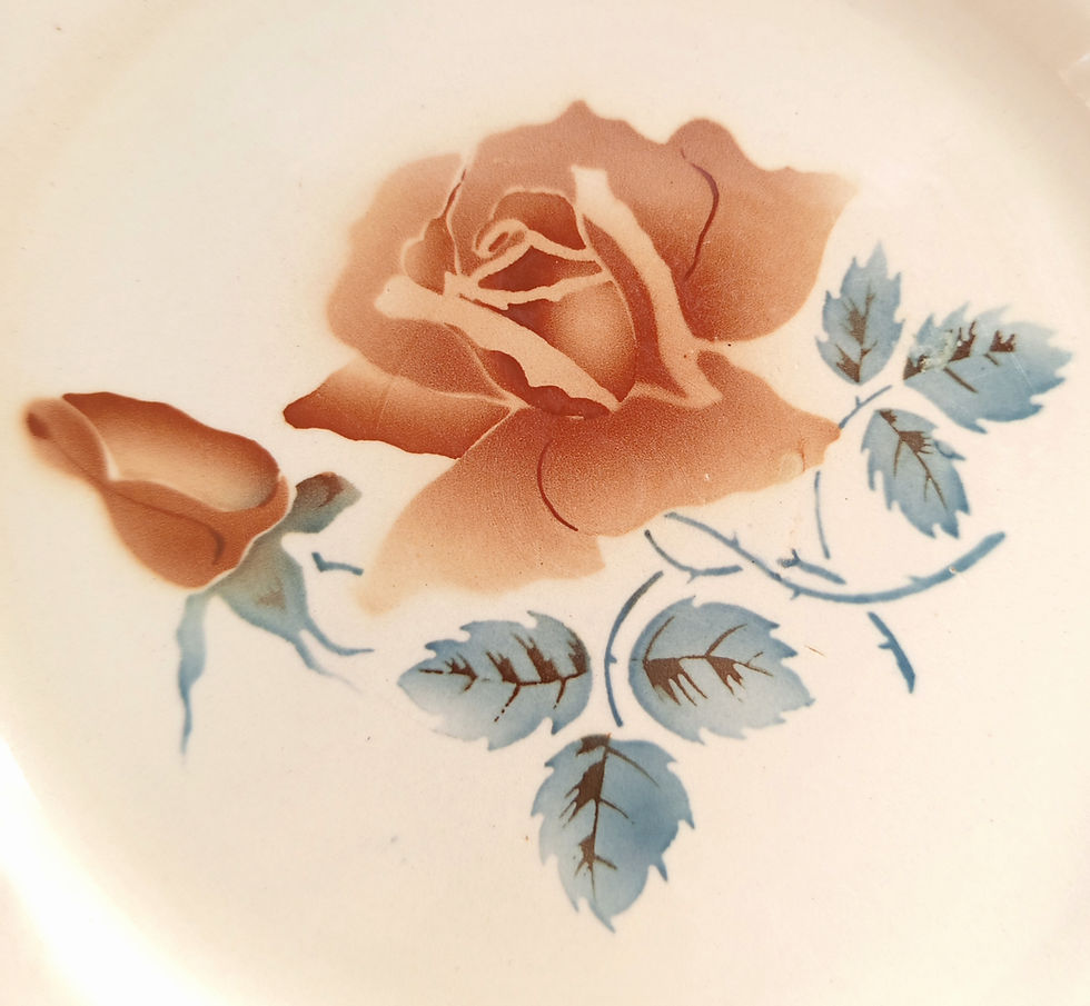 Miniature : 10 assiettes plates Digoin Sarreguemines décor de roses- XXe siècle