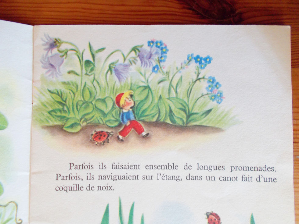 Miniature : Poucinet du bois joli - Les albums merveilleux
