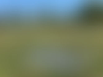 Newts Advance to World Series For 10th Time, Take Down Skeeters in Game 5 to Win NLCS