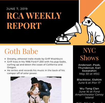 RCA Weekly Intern Report 6_7_edited.jpg