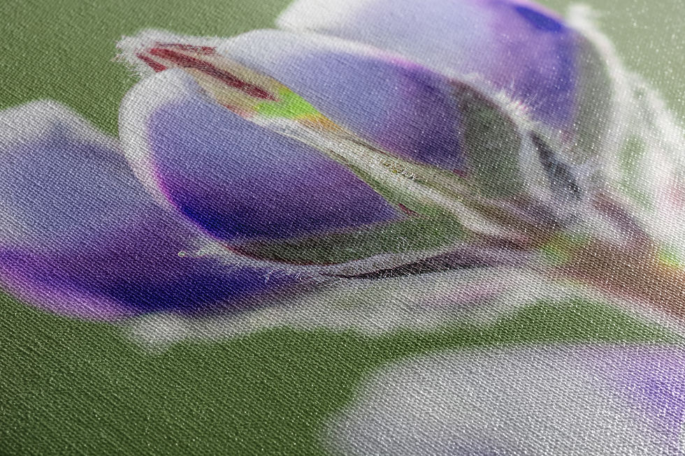 Thumbnail: Lovely Lupine