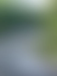 Fishing Report 8/27/2019