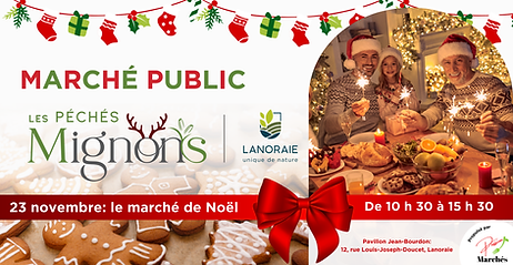 Noël 2025 (1).png