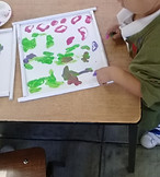 20190403_102102.jpg