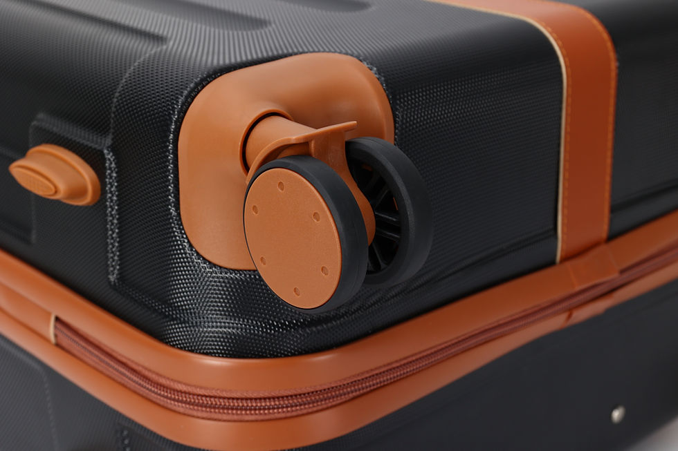 Miniature : Tuileries valise S - Black