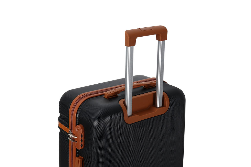 Miniature : Cassis valise M - Black