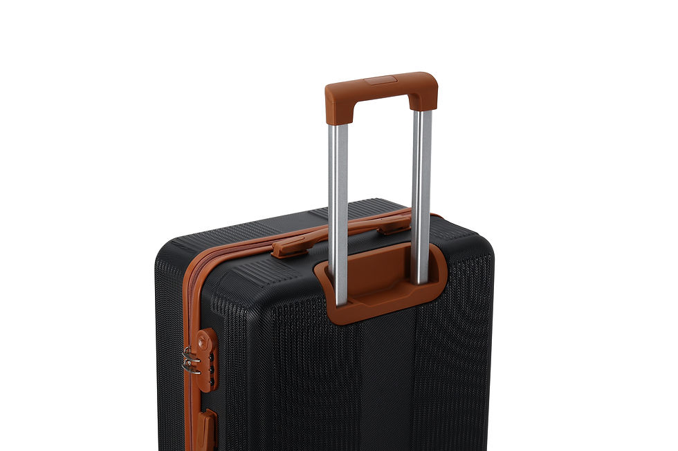 Miniature : Palama set 2 valises M/L - Black