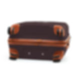 Miniature : Malesherbes valise L  - Prune
