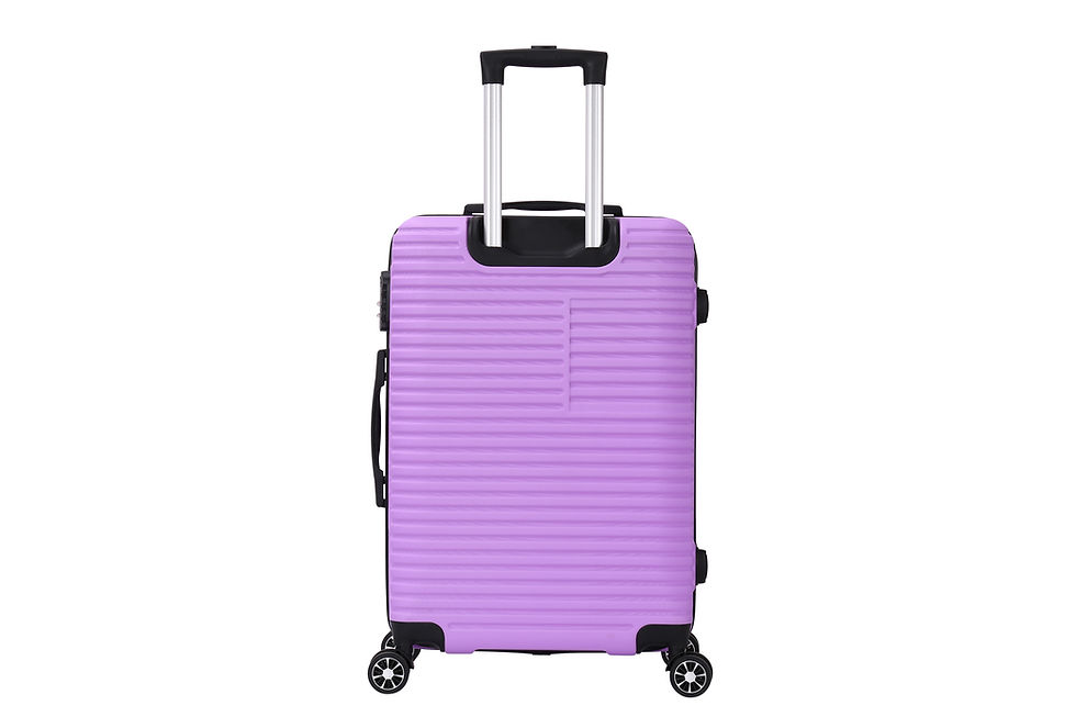Miniature : Vera valise S - Orchid