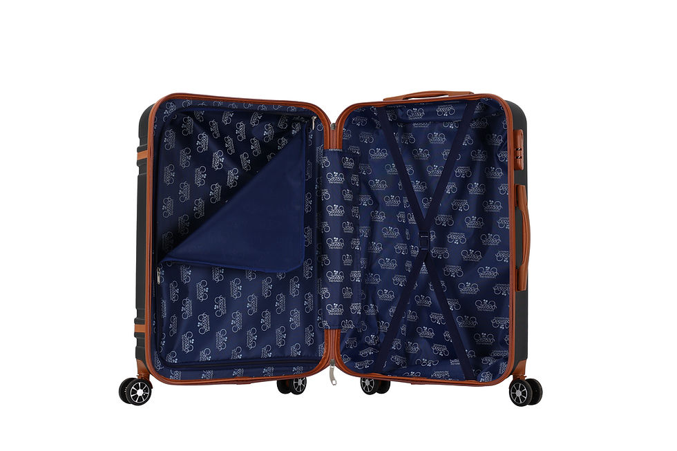 Miniature : Cassis valise L - Black