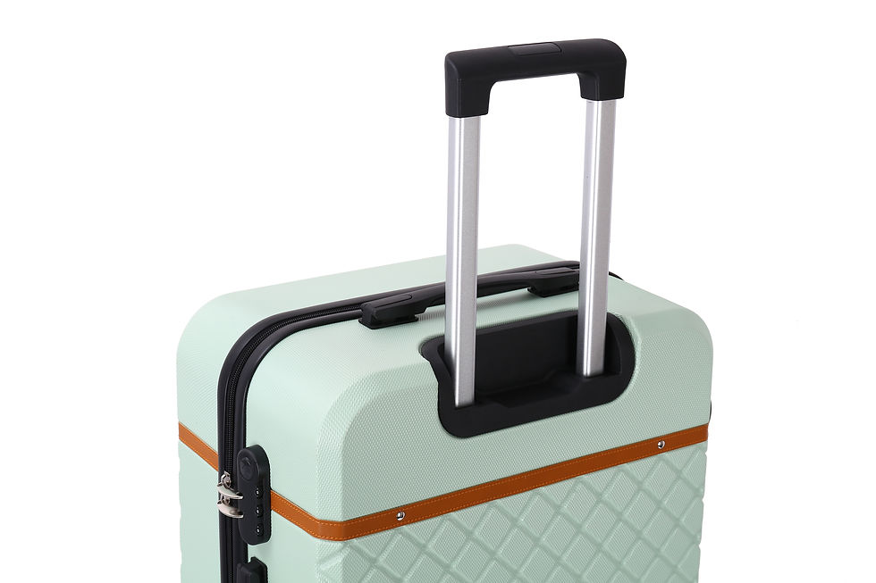 Miniature : Odéon valise S - Amande