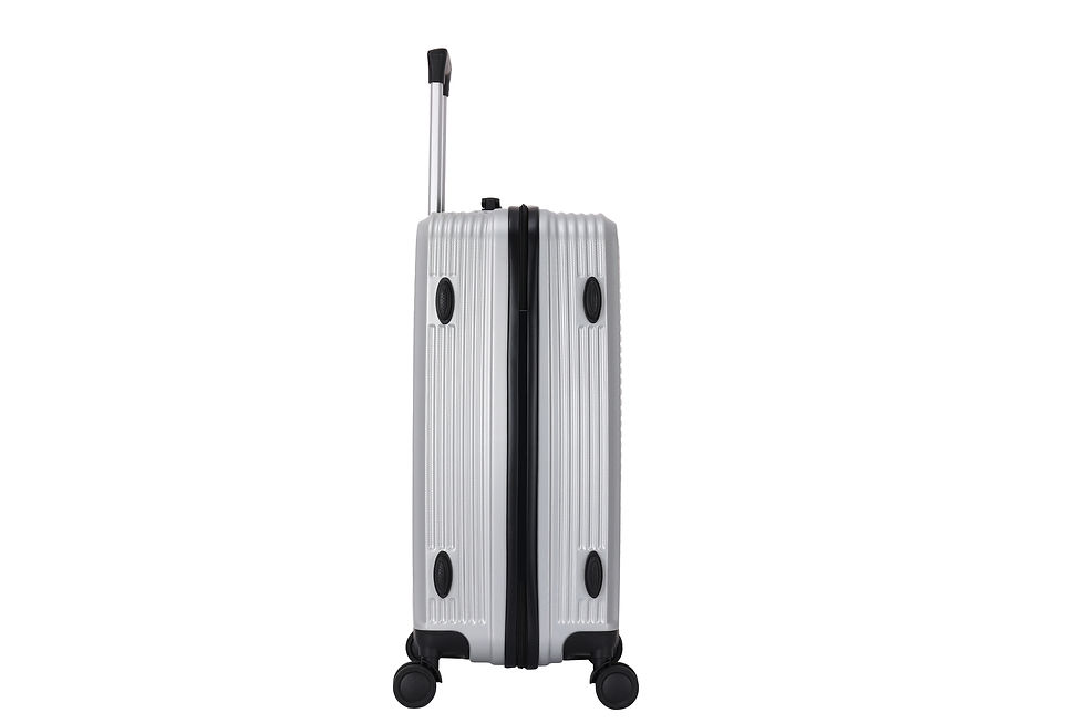 Miniature : Noma1 Set 2 valises S/M - Silver