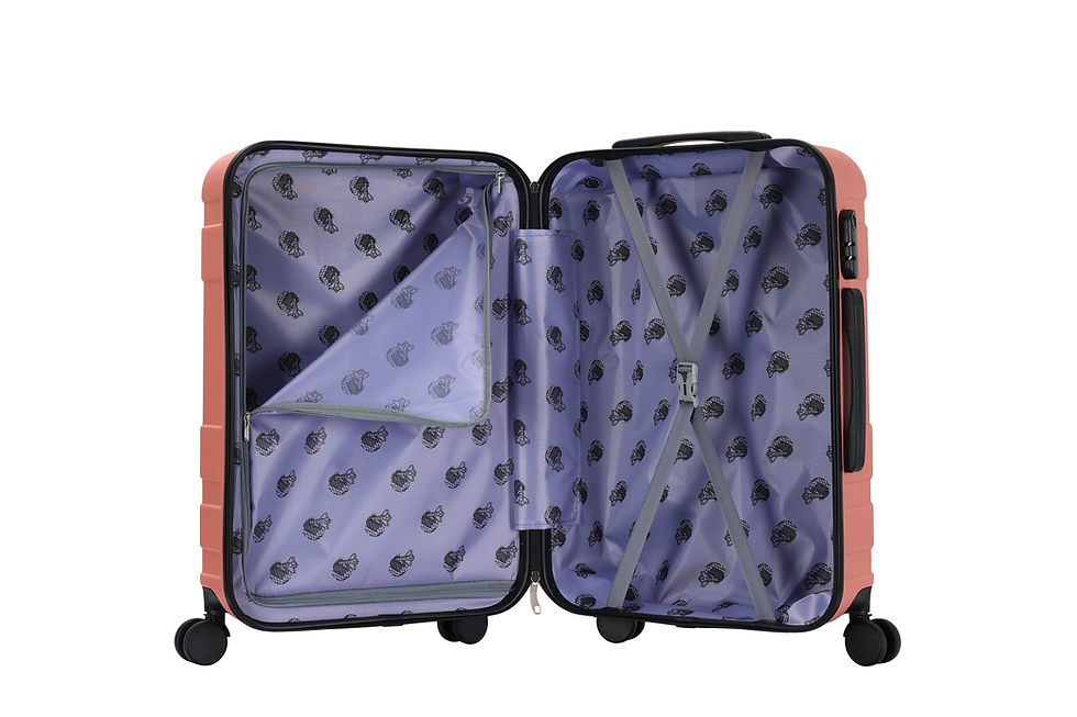 Miniature : Endeavour valise M - Rose Gold