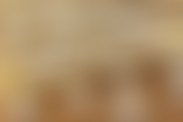 SO I HEARD YOU WERE ENGAGED?