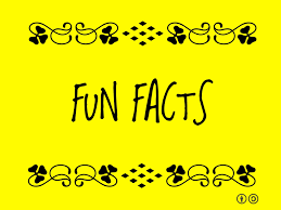 BIBLE FUN FACTS FOR KIDS (of all ages!)