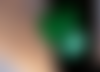 WAIT FOR THE GREEN LIGHT