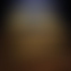 WHATEVER HAPPENED TO THE ARK OF THE COVENANT?