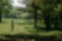Springtime.jpeg