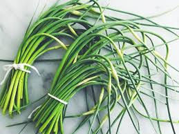 Garlic Scapes (Ruby's Run Farms)
