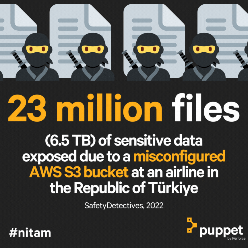 2-pup-nitam-2023-airline.gif
