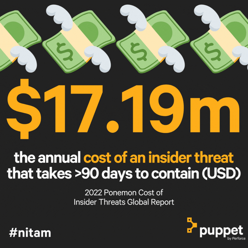 1-pup-nitam-cost.gif