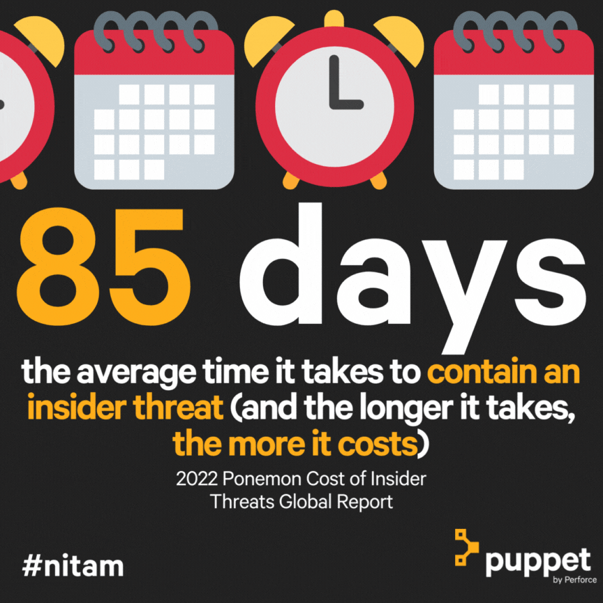 4-pup-nitam-2023-detection.gif