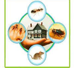 Fly Control ServicesÂ