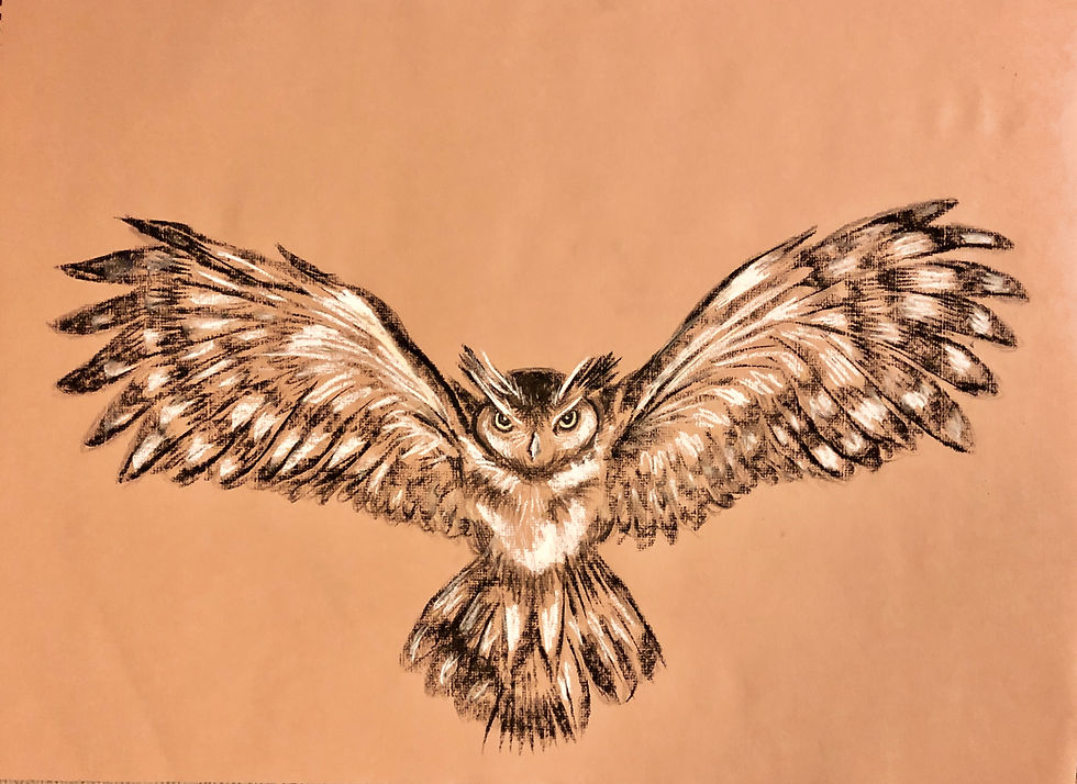 Soar