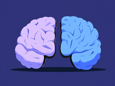 A Neurobiological Perspective on Premature Ejaculation