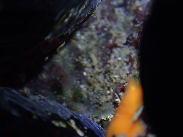 P2071264.jpg