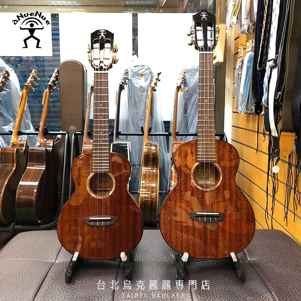 aNueNue彩虹人 aNN AMM2 AMM3 23/26吋 全單 非洲桃花心木 烏克麗麗