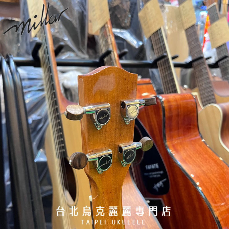縮圖：Millar TA-240G 台灣手工製烏克麗麗 23吋 全單板 亞洲相思木 全單板