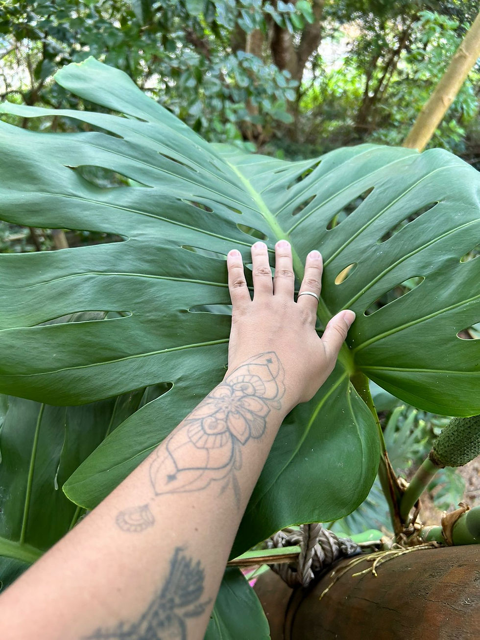 WhatsApp Image 2024-10-03 at 12.38.41 (1).jpeg