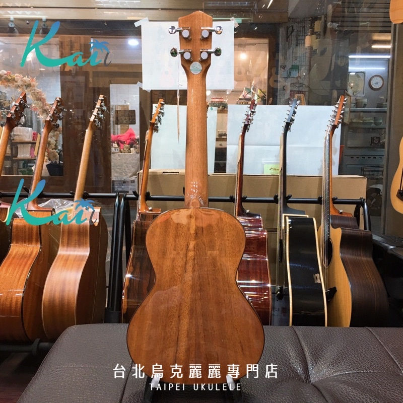 縮圖：Kai 蝶戀花 KC-MBF / KT-MBF 23吋/26吋 全桃花心木面單