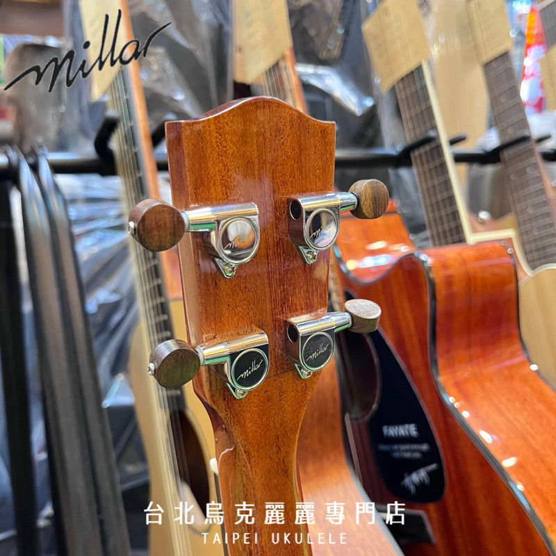 縮圖：Millar TA-260G 台灣手工製烏克麗麗 26吋 全單板 亞洲相思木 全單板