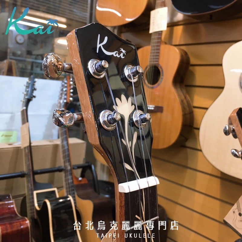 縮圖：Kai 蝶戀花 KC-MBF / KT-MBF 23吋/26吋 全桃花心木面單