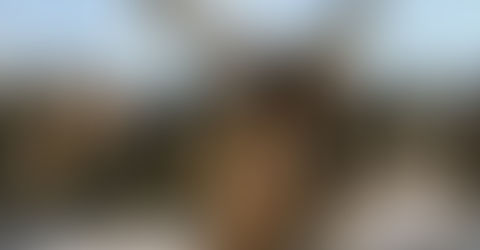 Mel Gibson divulga continuação de Paixão de Cristo