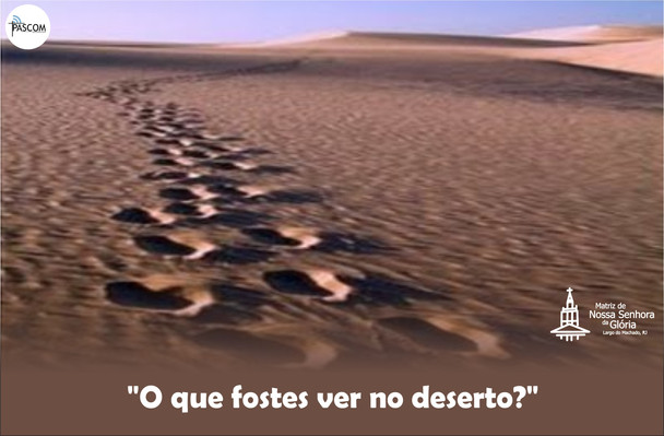 O que fostes ver no deserto?