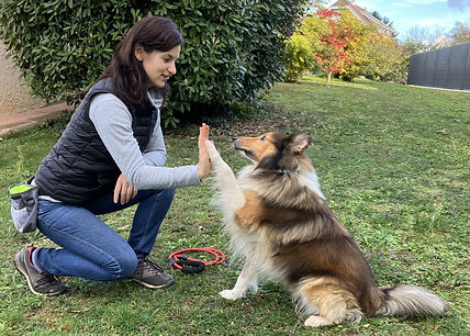 Femme en accord avec son chien