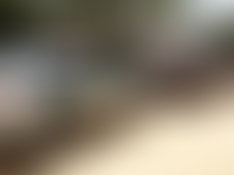 Homem é preso em Pelotas por roubo a farmácia em São Lourenço do Sul