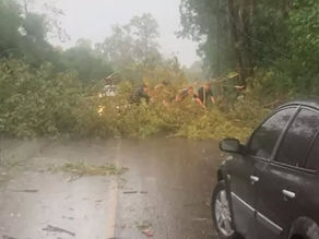 Vendaval com rajadas de até 93 km/h causa destruição em Alegrete e bloqueia rodovia entre Manoel Viana