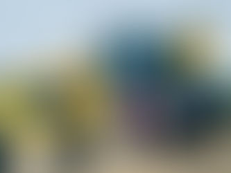 Pedras Altas recebe Motoniveladora para melhorias nas estradas rurais