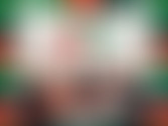 6ª Festa Municipal do Morango promete animação com Banda Sul Brass e produtos frescos no domingo (10 de novembro)