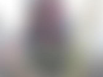 Exposição em Pelotas apresenta diversidade artística e destaca obra de Nauro Júnior