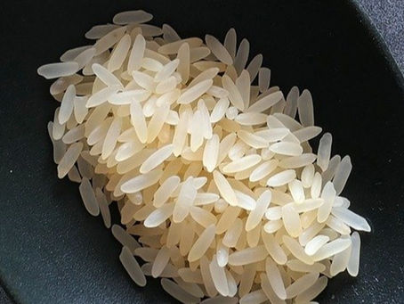 Avanço na semeadura de arroz no RS: técnicas driblam baixa umidade e impulsionam plantio