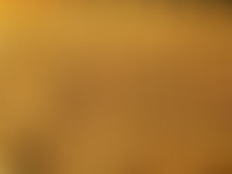 Avanço na semeadura de soja no Rio Grande do Sul, mas desafios climáticos afetam o ritmo do plantio