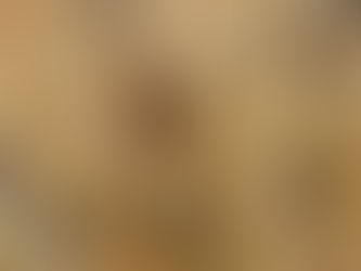 Semeadura de soja no RS atinge 60% da área estimada, aponta Emater/RS-Ascar